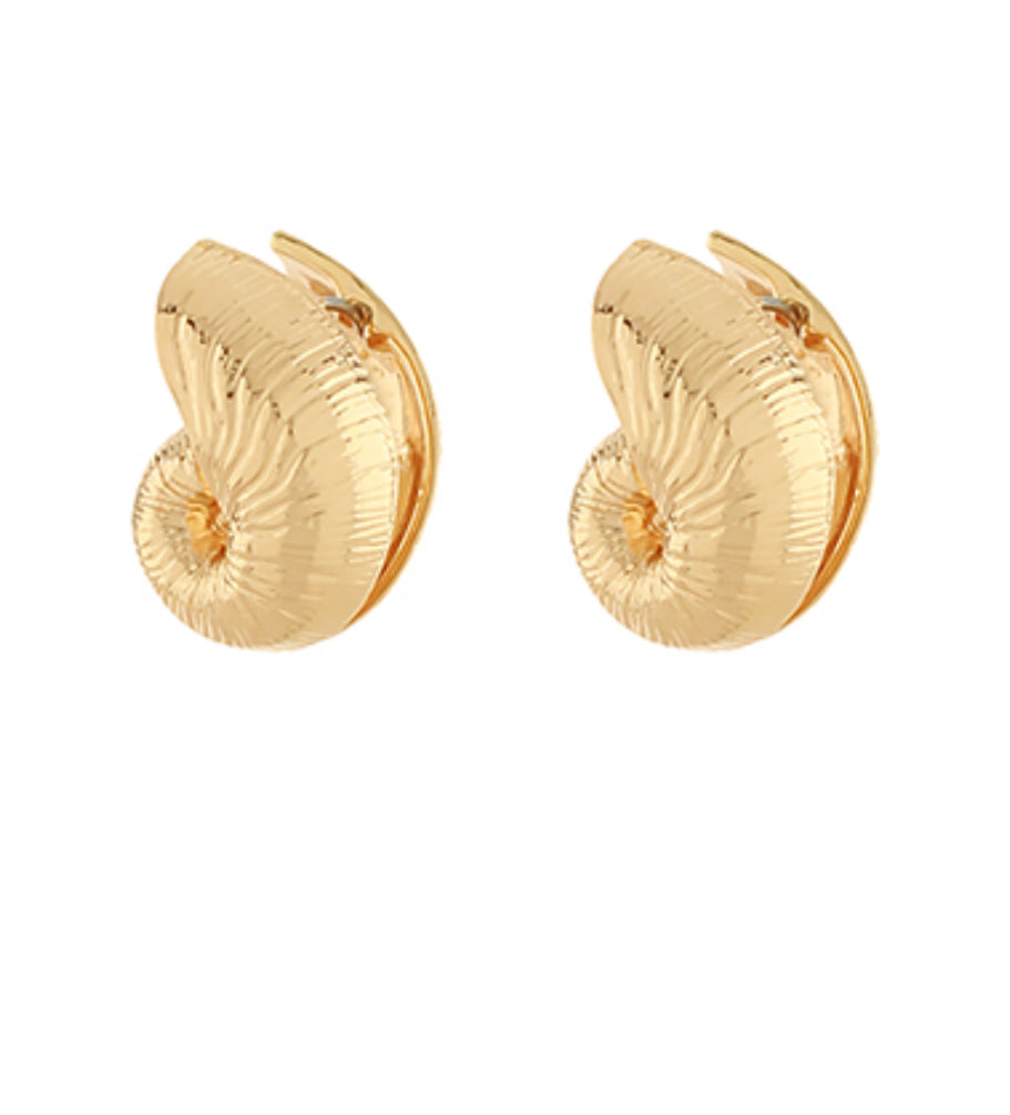Gold Shell Shape Earrings