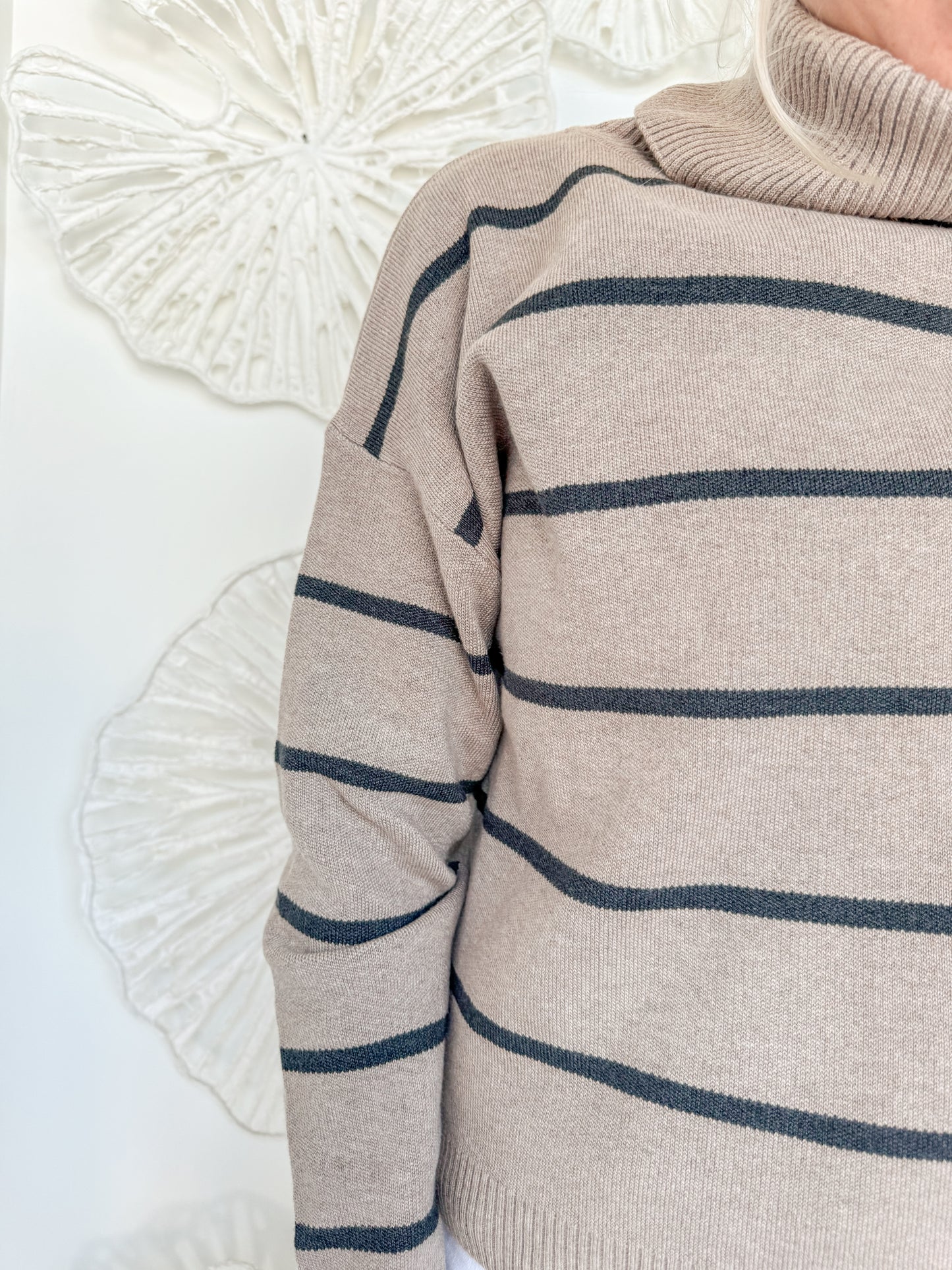 Mocha/Dark Brown Striped Turtleneck