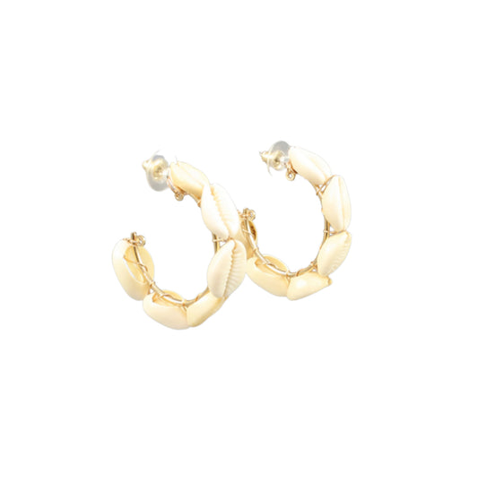 Cowry Shell Hoops