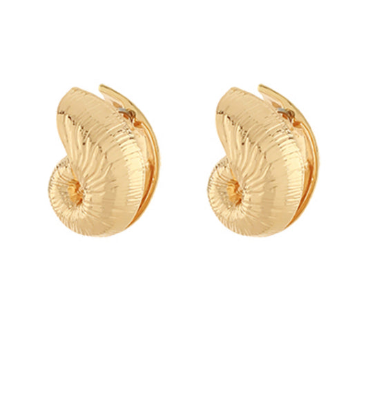 Gold Shell Shape Earrings