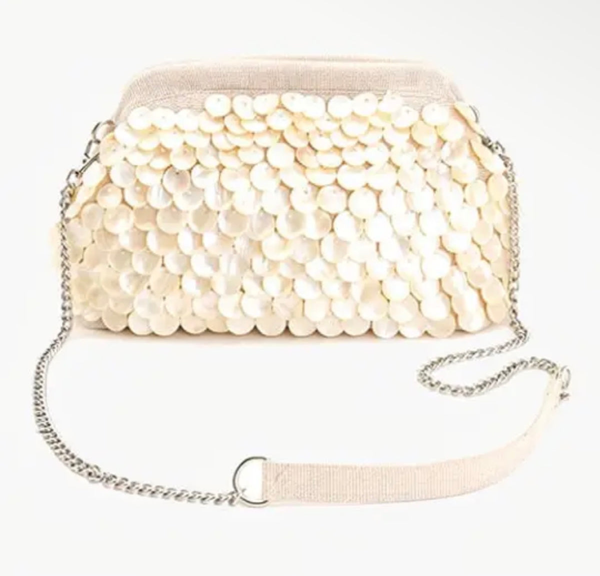 Mermaid Scale Clutch